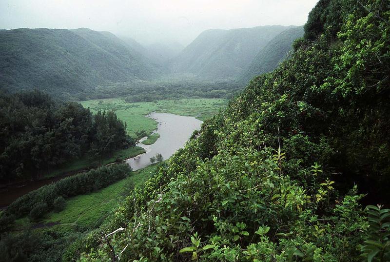 WT 0043 T06-16 Hawaii.jpg